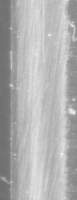 0.5 micron microbevel, middle